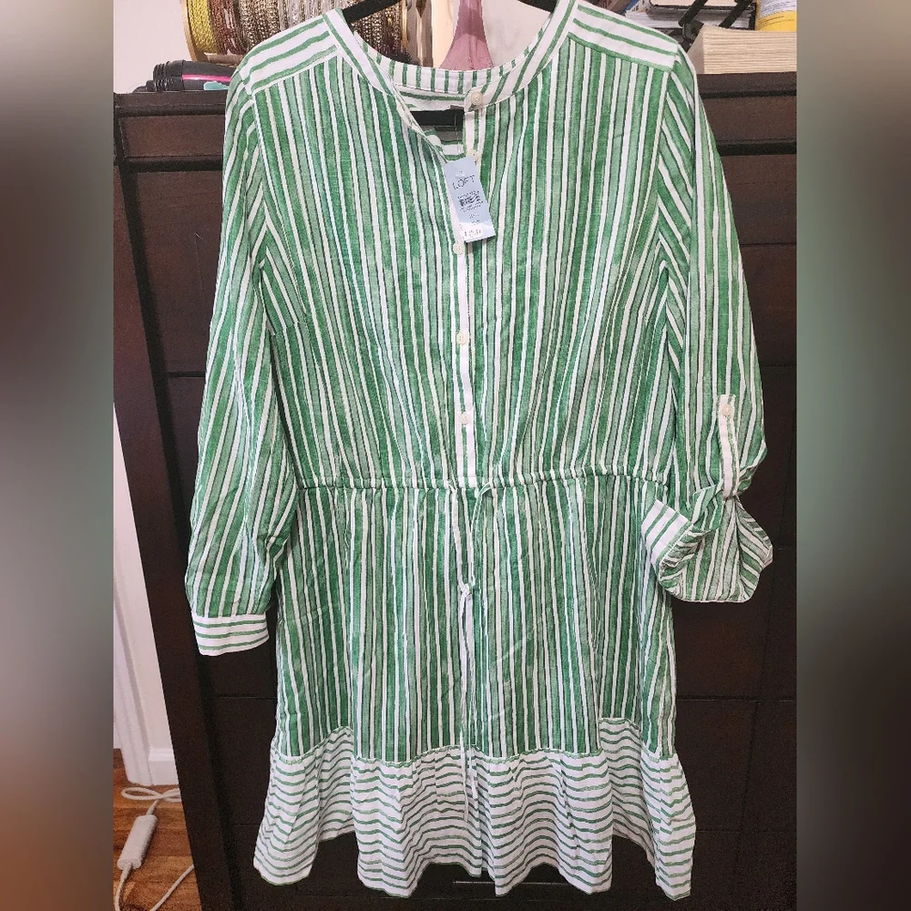 Ann Taylor Loft Petite XXL Dress - Picture 5 of 6